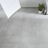 EXTRA DSAS4724 dark grey Lassel-Rako фото 4