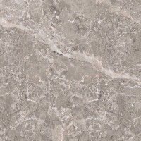 ELEGANT GREY PUL.L 120X120(A) PORCELANOSA фото 1
