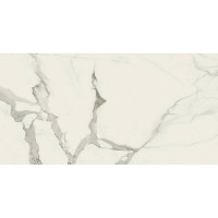 STATUARIO NATURAL RECT. 60X120 BALDOCER
