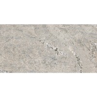 776583 PLIMATECH PLIMAGREY/01 6MM 60X120 RETT (1 сорт) FLORIM GROUP фото 1