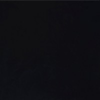 BLACK POL 6603 300x300 (1 сорт) MEGAGRES фото 1