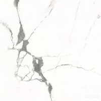 GXJ00160S Carrara ALMERA CERAMICA-2 фото 1
