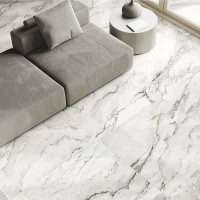 BRECCIA LUNARE (REMIUM POLISHED) Argenta фото 1