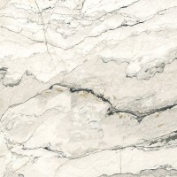 BRECCIA LUNARE (REMIUM POLISHED) Argenta