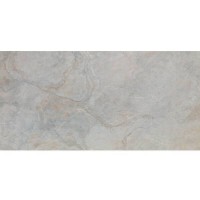 IMAGE SILVER 59,6X120(A) PORCELANOSA
