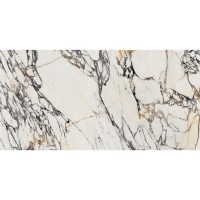 0009024 SPR.TREAS.CORCHIA GOLD LUX R  60X120 (1 сорт)