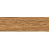 GRES RAINWOOD BROWN Ceramika Gres фото 1