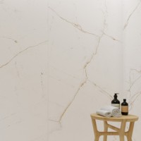 DUAL WHITE SP/100X180/R (1 сорт) PERONDA фото 4