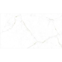 DUAL WHITE SP/100X180/R PERONDA фото 1