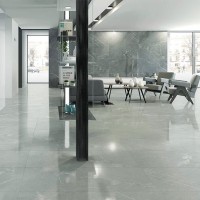 PN03 LIGHT GREY POL (1 сорт) ALMERA CERAMICA-2 фото 1