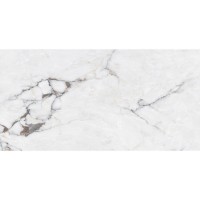 B12630 SANTANDER (1 сорт) MEGAGRES фото 2