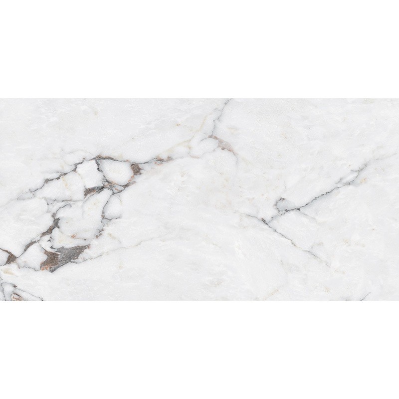 B12630 SANTANDER (1 сорт) MEGAGRES фото 2