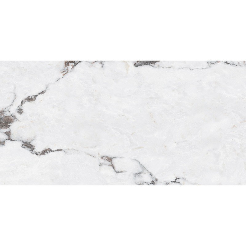 B12630 SANTANDER (1 сорт) MEGAGRES фото 4