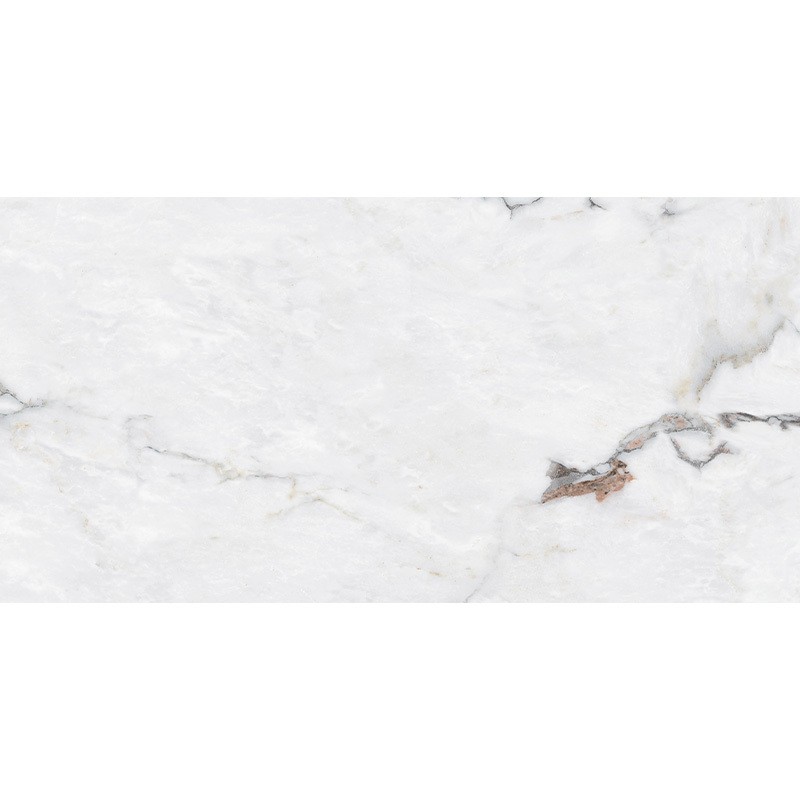 B12630 SANTANDER (1 сорт) MEGAGRES фото 3