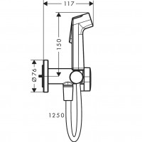 29232670 HG Гігієнічний душ EcoSmart 1 jet на змішану воду, black matt (1 сорт) HANSGROHE фото 1