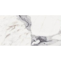 769979 ORIGINES DE REX ARGENT MAT 6MM (1 сорт)