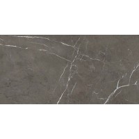 PF60011127 SNS.900 STONE GREY ANT 60X120 (1 сорт) ABK