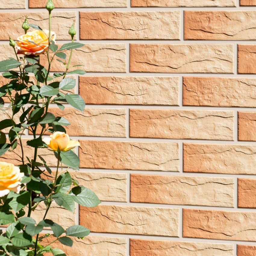 ELEWACJA RUSTICO GOBI (1 сорт) CERRAD фото 3