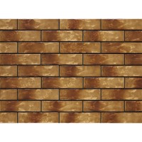 ELEWACJA RUSTICO DAKOTA (1 сорт) CERRAD фото 1