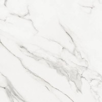 ARCTIC STONE WHITE MATT** CERSANIT entry