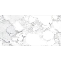 HAUTE WHITE SP/60X120/С/R (1 сорт) PERONDA фото 1