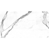GQW8321P CARRARA/ GQP8321P 60X120CM ALMERA CERAMICA-2 фото 2