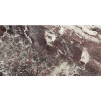 BRECCIA VIOLA POL RECT 60X120 APE