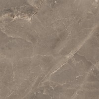 ALBI BROWN (1 сорт) MEGAGRES фото 4