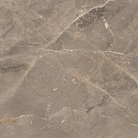 ALBI BROWN (1 сорт) MEGAGRES фото 3