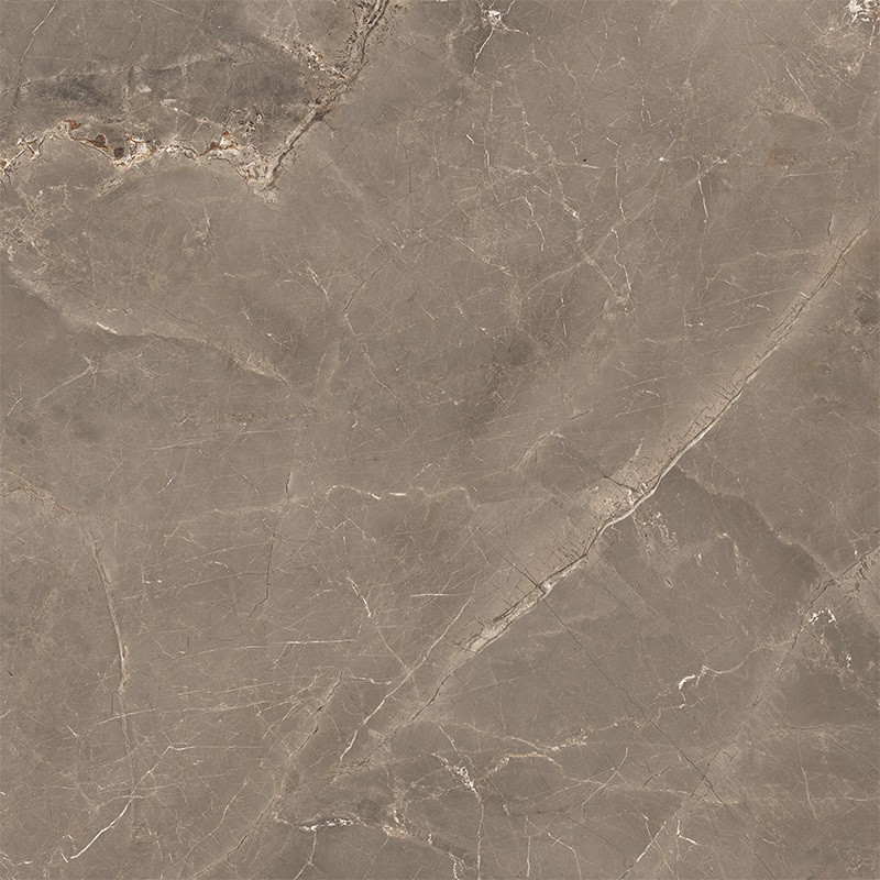 ALBI BROWN (1 сорт) MEGAGRES фото 4