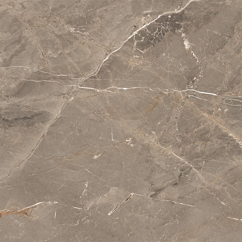 ALBI BROWN (1 сорт) MEGAGRES фото 3