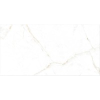 DUAL WHITE NT/75,5X151/R PERONDA фото 2