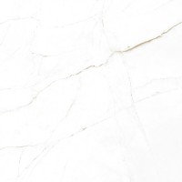 DUAL WHITE SP/100X100/R (1 сорт) PERONDA фото 2