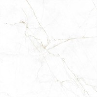 DUAL WHITE SP/100X100/R (1 сорт) PERONDA фото 1