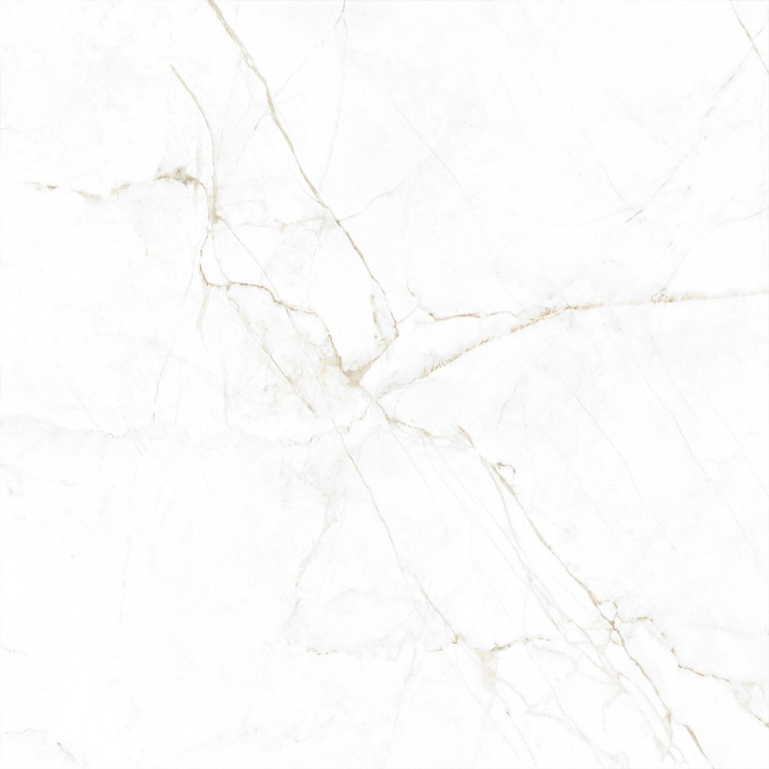 DUAL WHITE SP/100X100/R (1 сорт) PERONDA фото 1
