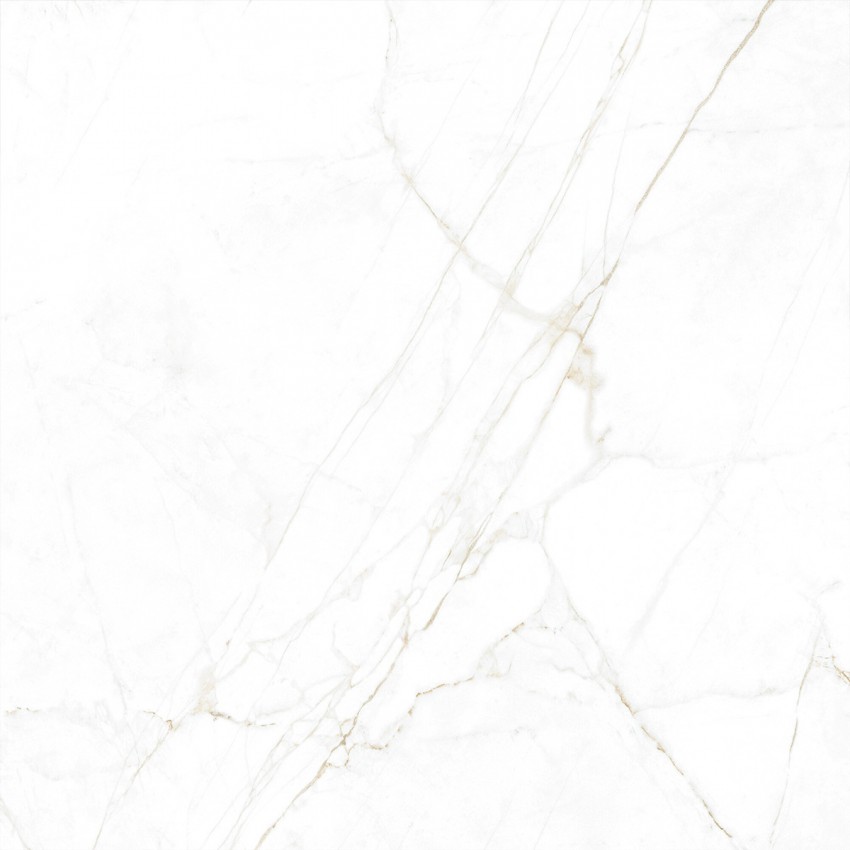 DUAL WHITE SP/100X100/R (1 сорт) PERONDA фото 3