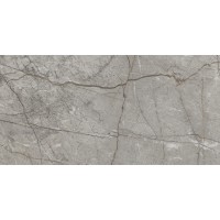 RADDIX GRISS (1 сорт) MEGAGRES фото 4