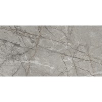 RADDIX GRISS (1 сорт) MEGAGRES фото 2