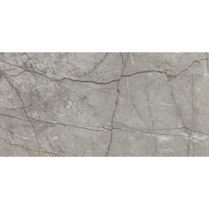 RADDIX GRISS (1 сорт) MEGAGRES фото 4