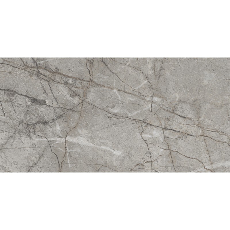 RADDIX GRISS (1 сорт) MEGAGRES фото 2