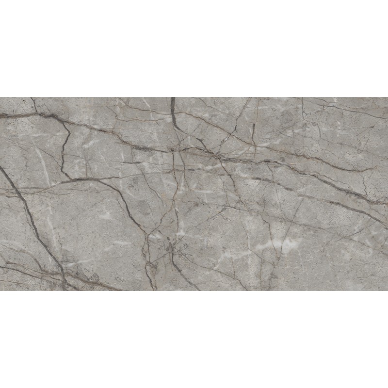 RADDIX GRISS (1 сорт) MEGAGRES фото 3