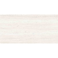 0012725 SNS.ROMA WHITE ANT R 60X120 ABK фото 1