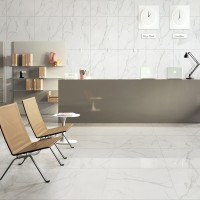 CB6Y025PA CARRARA (1 сорт) MEGAGRES фото 1