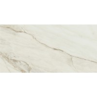 FONTANA PULIDO RECT. 60X120 (1 сорт) BALDOCER фото 2