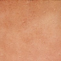 BASE_P VEGA ROJO C-1 EXAGRES
