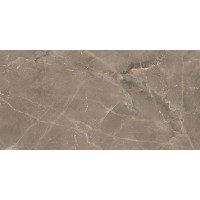 ALBI BROWN (1 сорт) MEGAGRES фото 2