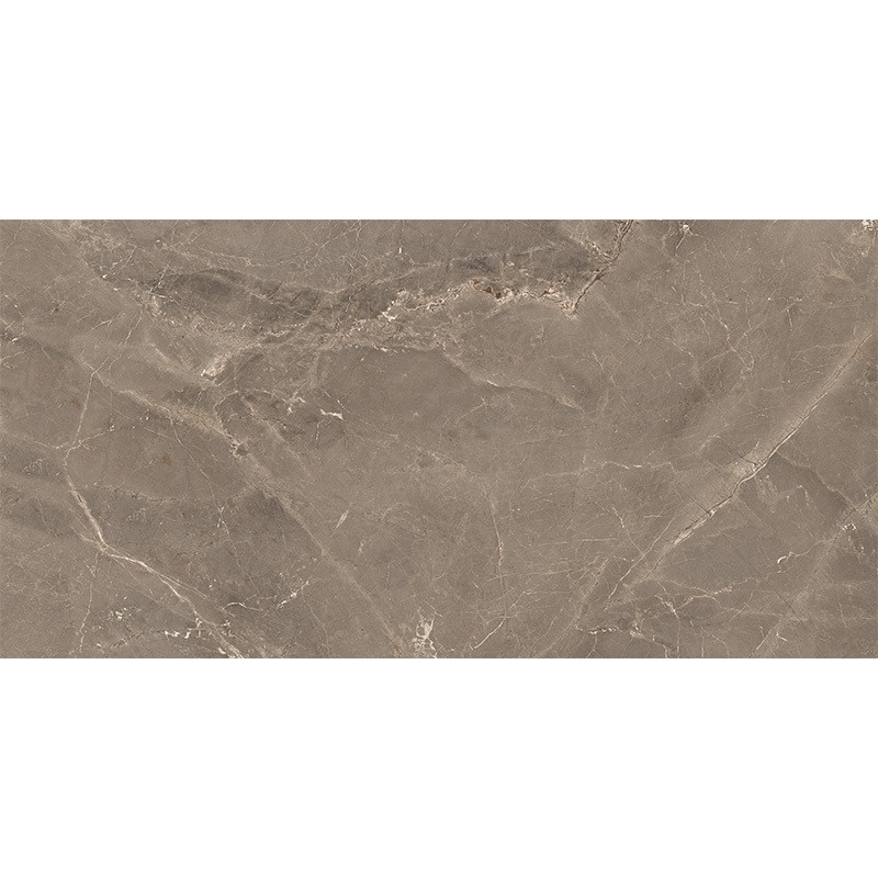 ALBI BROWN (1 сорт) MEGAGRES фото 4