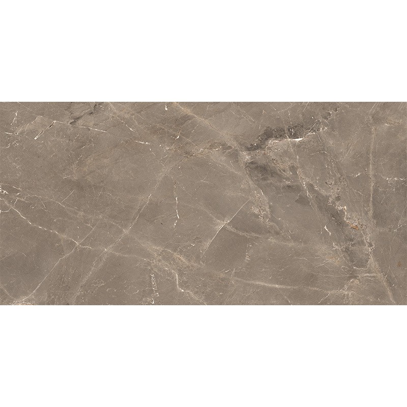 ALBI BROWN (1 сорт) MEGAGRES фото 1