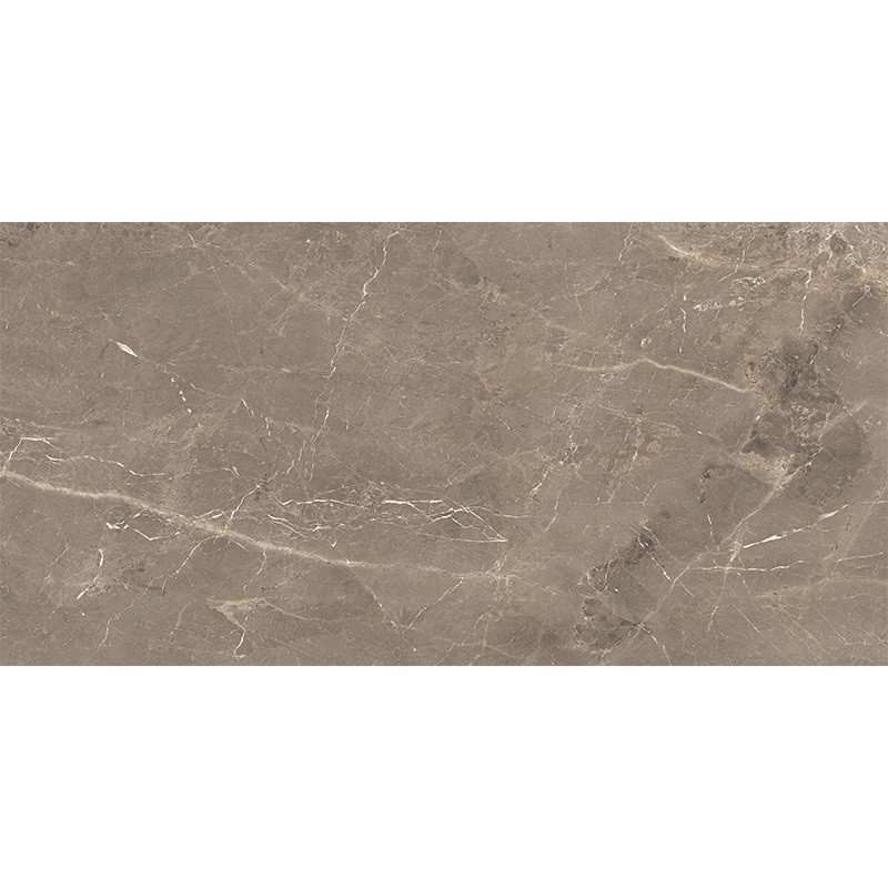 ALBI BROWN (1 сорт) MEGAGRES фото 3