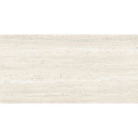 PF60011131 SNS.ROMA IVORY AN3  R60X120 ABK фото 1